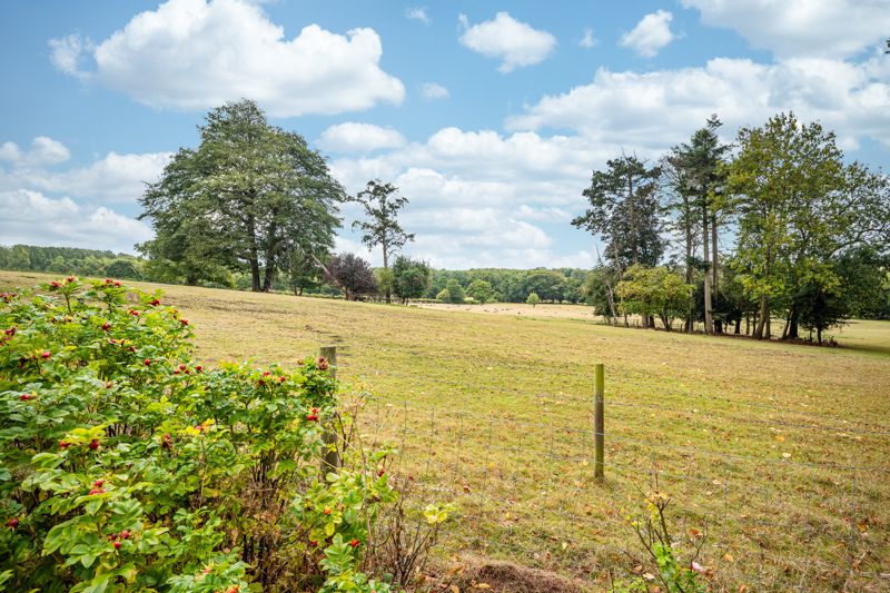 Views- click for photo gallery